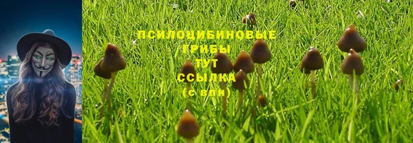 марихуана Абинск