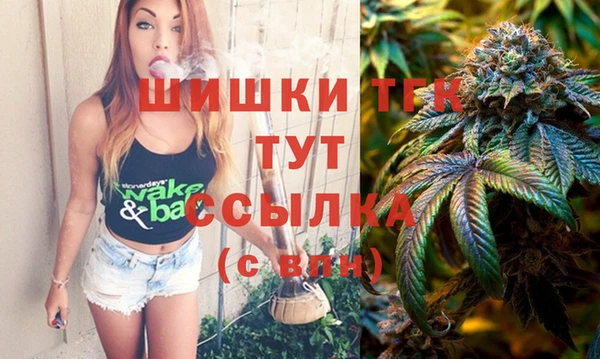 гидра Пролетарск
